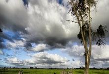 开云平台-开拓者队实力强劲，球迷期待球队更进一步