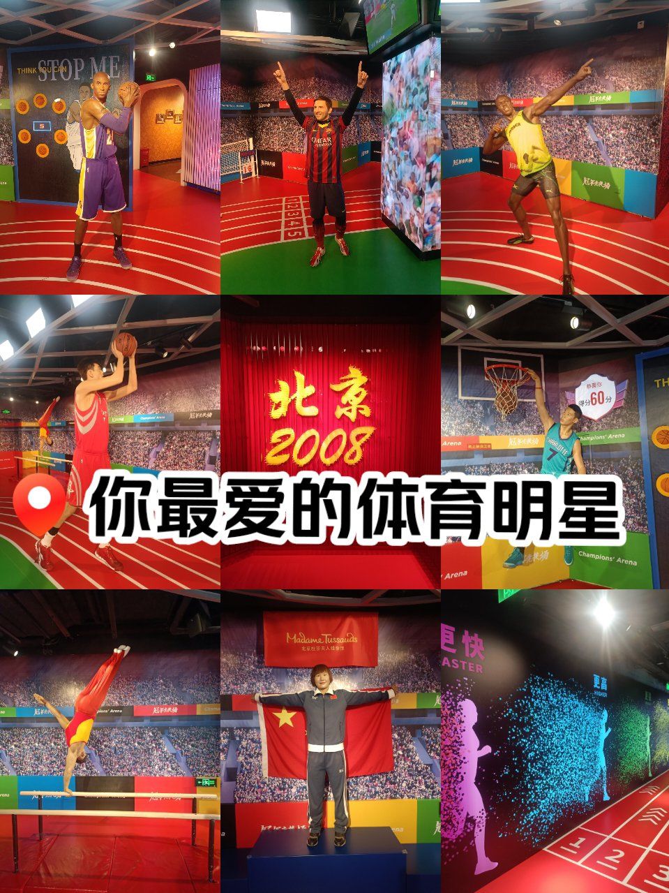 开云体育APP下载-世界体育明星助力大型体育展览