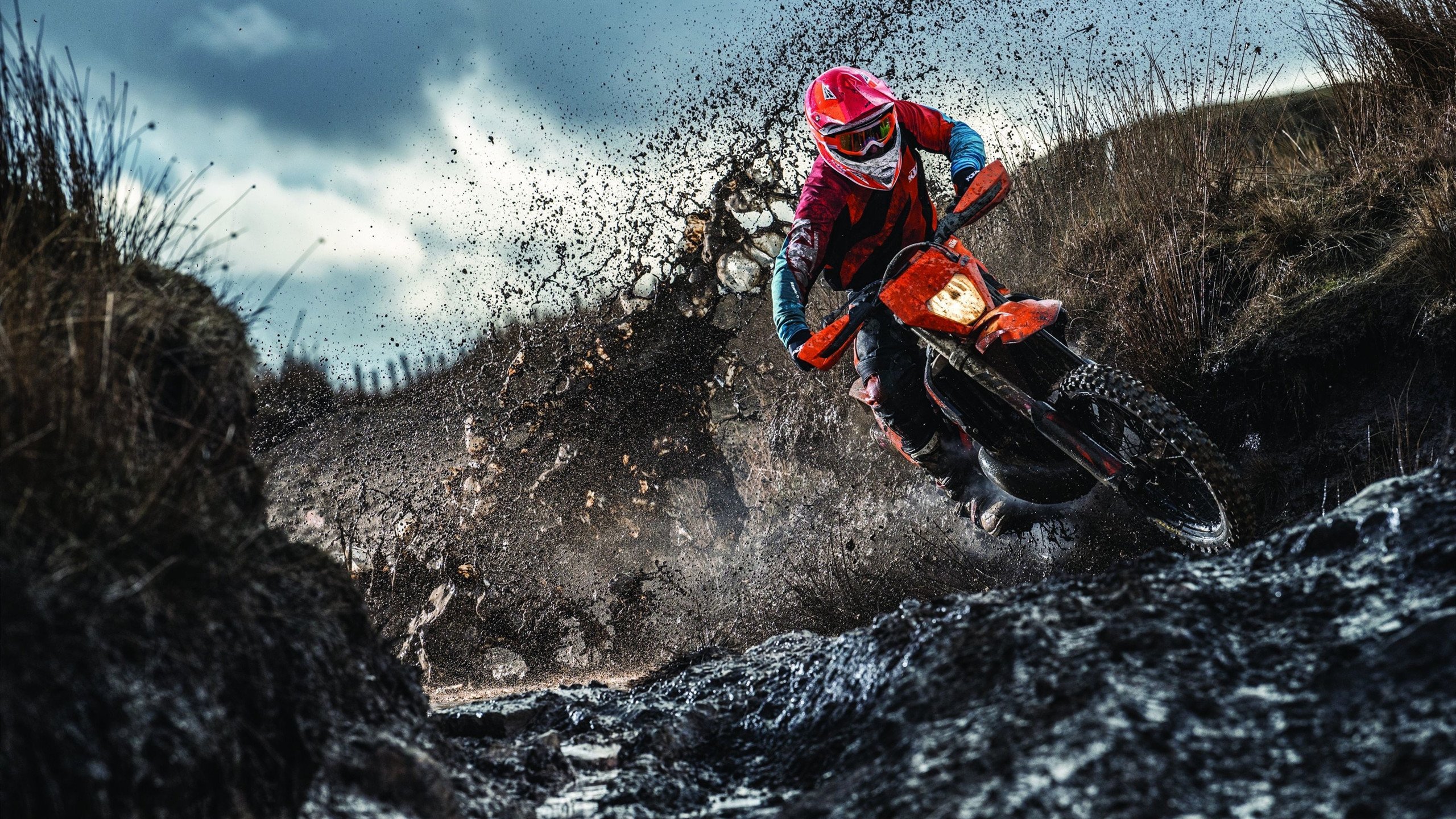 开云体育在线-窒息下的魔术，当终场哨响前，武切维奇用一记三分宣判了两种命运